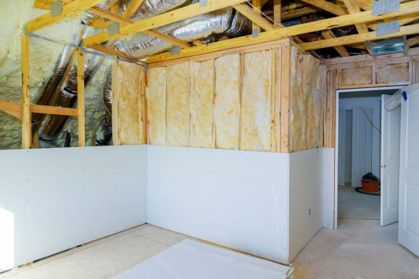 Best Eco-Friendly or Green Insulation Solutions  in Rio Pinar, FL