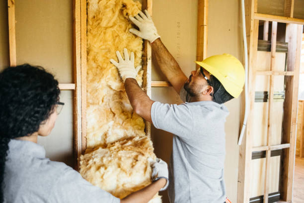 Best Batt and Roll Insulation  in Rio Pinar, FL